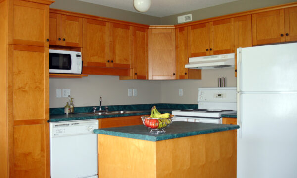 Shaker Kitchens: Why This Classic Style Never Goes Out of Fashion
